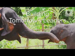 Building Tomorrow's Leaders