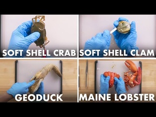 How To Open Every Shellfish | Method Mastery | Epicurious